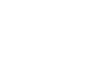 CODE APPX company logo representing professional web and mobile app development services